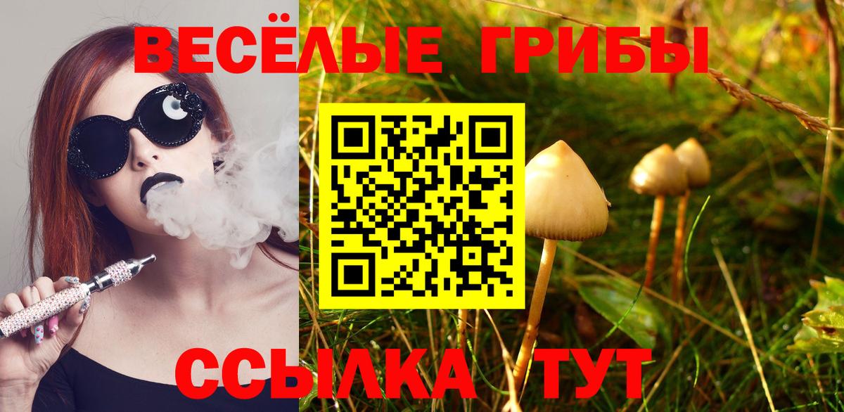 Галлюциногенные грибы GOLDEN TEACHER Кимры